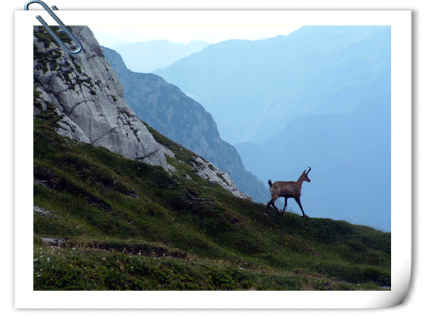 Die wunderschöne Natur Rund um Bad Goisern