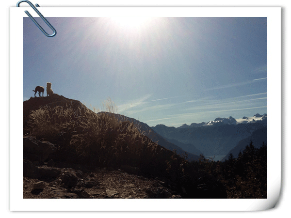 Blick auf den Dachstein