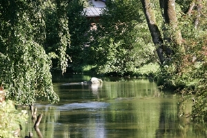 der Mühlbach ein Nebenarm der Traun,ideal zum Fischen 
