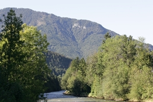 die Traun schlängelt sich durchs Goiserertal.......Fischen, Rafting, Flusswandern,am Traunufer entspannen.....