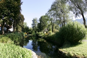 Teichanlage im Kurpark